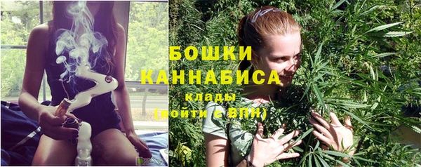 хмурый Заводоуковск